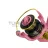 Sekély dob Delphin QUEEN 5T SH aluminium
