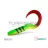 DuoPACK BOX Delphin TwistaX Eeltail UVs / 6x 5db 6cm/PERCHY