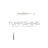 Delphin B! Dropshot henger / 5db 10,0g