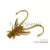 Műcsali Delphin B! Stinx NYMPHA / 20 db 2.5cm / FRUITY