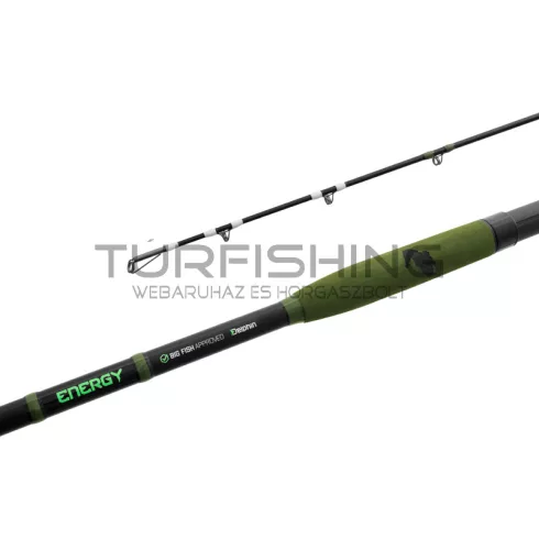 Delphin ENERGY Catfish 250cm/250-500g/2 rész