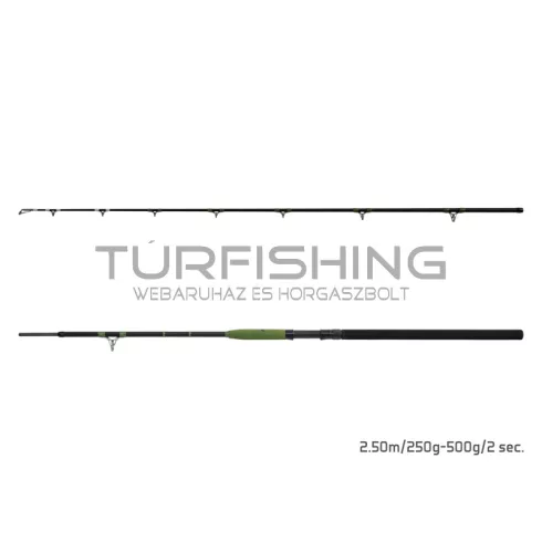 Delphin ENERGY Catfish 280cm/250-500g/2 rész