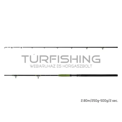 Delphin ENERGY Catfish 280cm/250-500g/2 rész