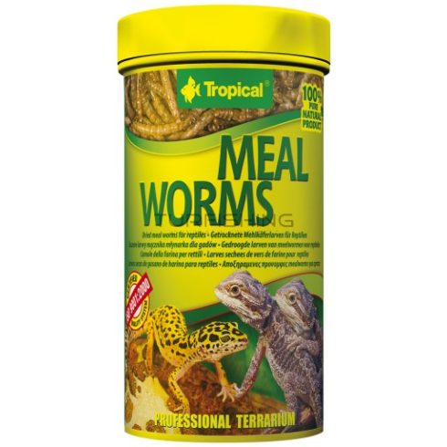 Tropical Meal Worms 100ml/13g Dobozos