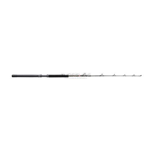 PENN Squall II 20-50LB 5ft6