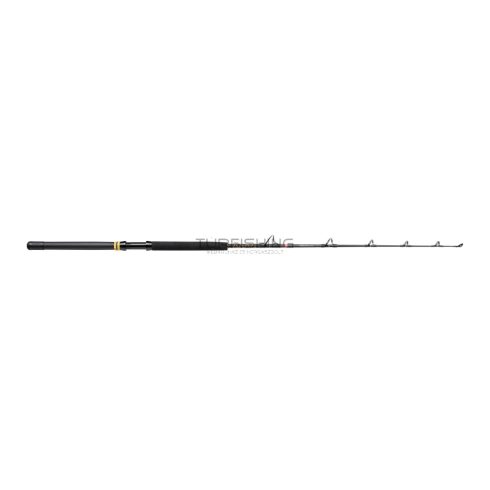 PENN Squall II 30-80LB 5ft6