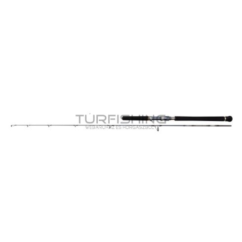 PENN BATTALION SOLID JIGGING 6FT 300G 1p1
