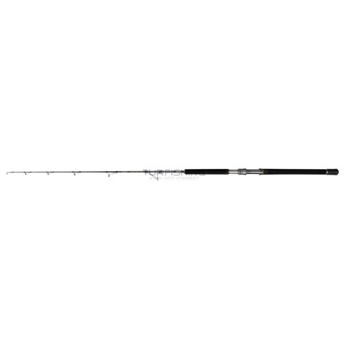 PENN BATTALION SOLID BROUME 6ft50-100LBS LR 1