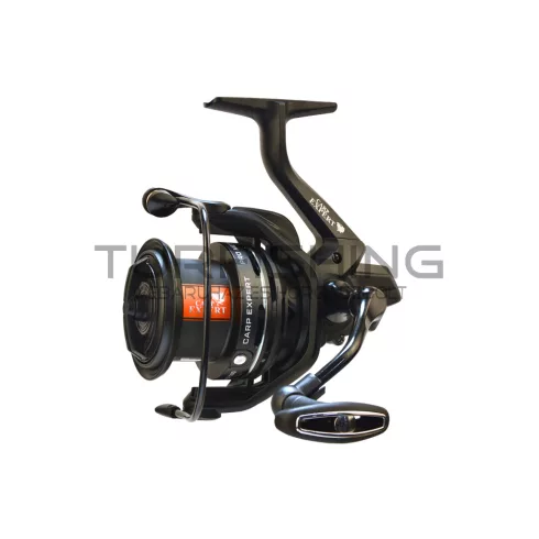 CARP EXPERT PRO METHOD 6000