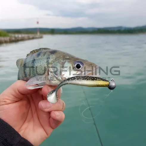 REIVA Reiva Ultra Strong Jig Head 5/0-14g  4db/cs