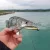 REIVA Reiva Ultra Strong Jig Head 5/0-14g  4db/cs