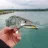 REIVA Reiva Ultra Strong Jig Head 5/0-21g  3db/cs