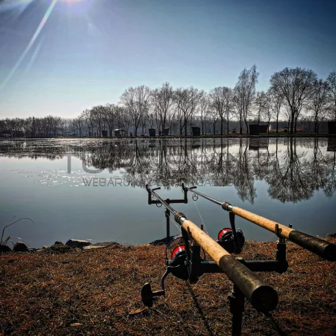 CARP ACADEMY Power Stick leszúró nyél 30-60cm