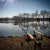 CARP ACADEMY Power Stick leszúró nyél 40-90cm