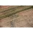 CARP EXPERT MAX2 85*85CM MERÍTŐHÁLÓ NYÉL NÉLKÜL