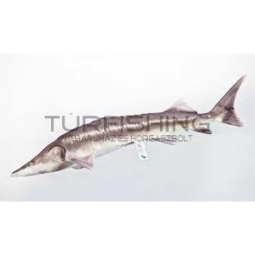 PILLOW THE STERLET STURGEON – NEW 60CM