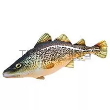 PILLOW THE MONSTER ATLANTIC COD   200CM
