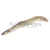 PILLOW THE MONSTER EUROPEAN EEL    220CM