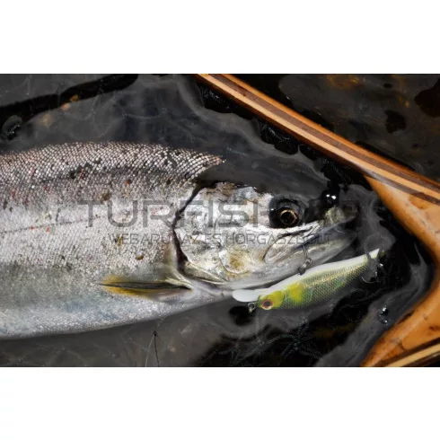 Decoy HOROG DECOY 28 TROUTIN SINGLE #4