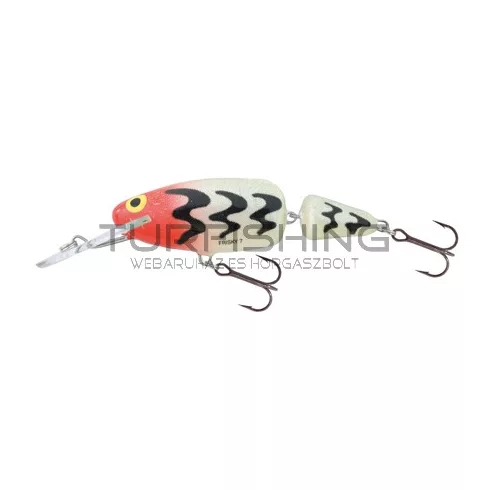 SALMO WOBBLER FRISKY  FR5DR HUT