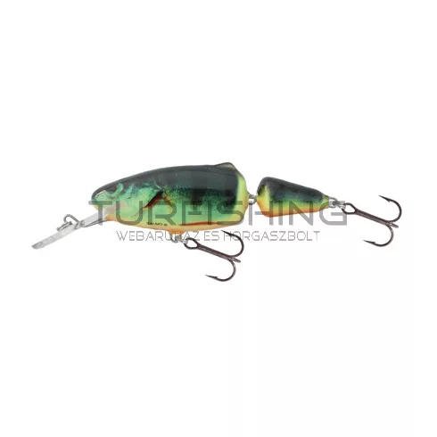 SALMO WOBBLER FRISKY  FR5DR SNP