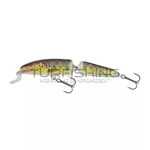 SALMO WOBBLER FANATIC IF7F T