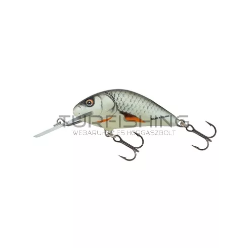 SALMO WOBBLER HORNET H2S FWS