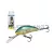 SALMO WOBBLER HORNET H5F GREEN BACK HERRING