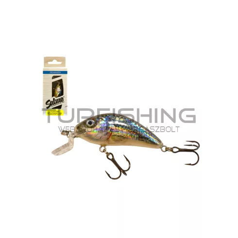 SALMO WOBBLER RATTLIN HORNET H4.5SR RTS