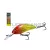 SALMO WOBBLER RATTLIN HORNET H5 5F CBR
