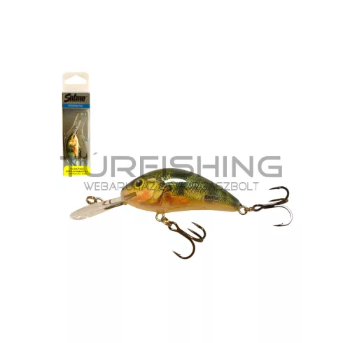SALMO WOBBLER HORNET H4.5F RST