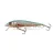 SALMO WOBBLER MINNOW M5F D