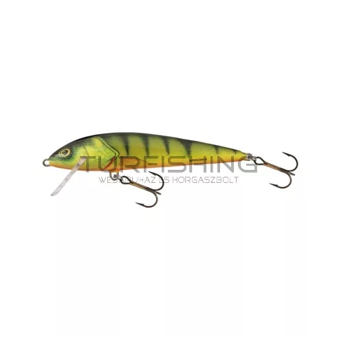 SALMO WOBBLER MINNOW M5F D