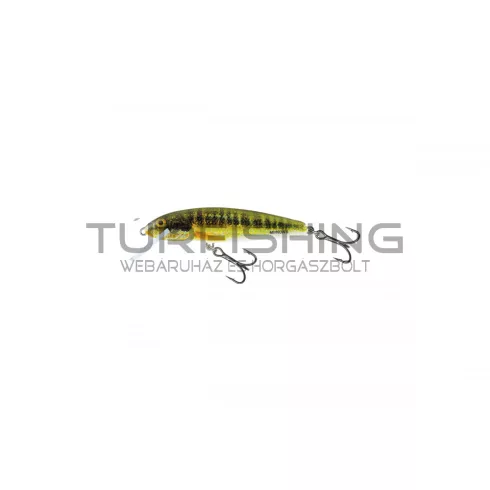 SALMO WOBBLER MINNOW M5F HRM