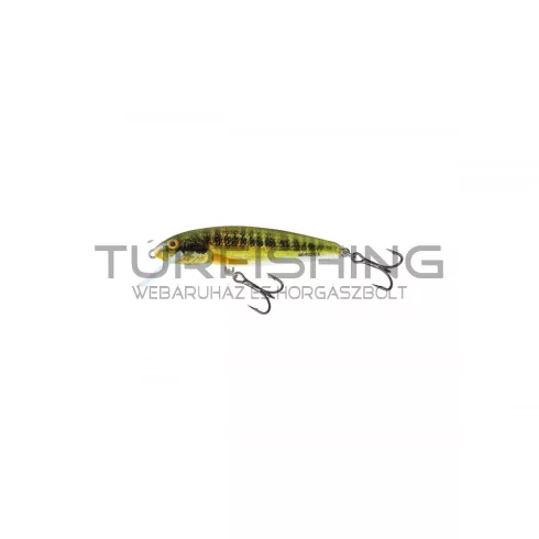 SALMO WOBBLER MINNOW M6S HRM