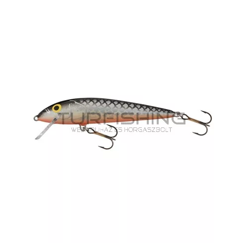 SALMO WOBBLER MINNOW M6S  LBS