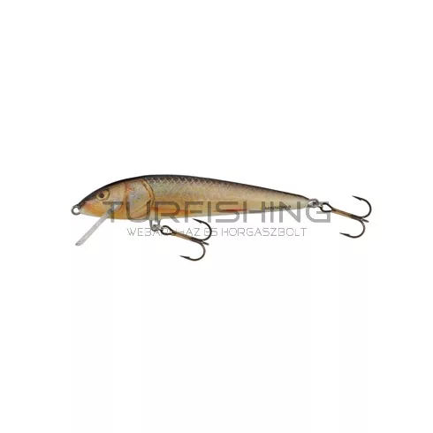 SALMO WOBBLER MINNOW M6S  LBS