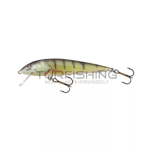 SALMO WOBBLER MINNOW M9F D