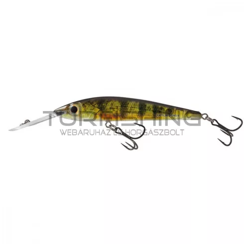 SALMO WOBBLER RATTLIN' STING RS9DR RYP
