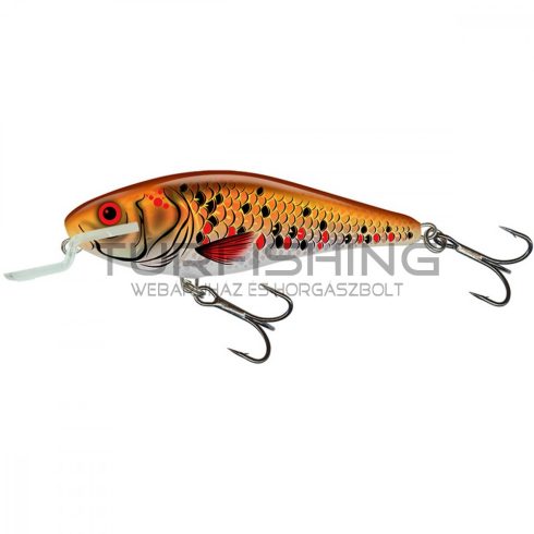 SALMO WOBBLER EXECUTOR IEX9SR HGK