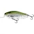 SALMO WOBBLER EXECUTOR IEX9SR OLB