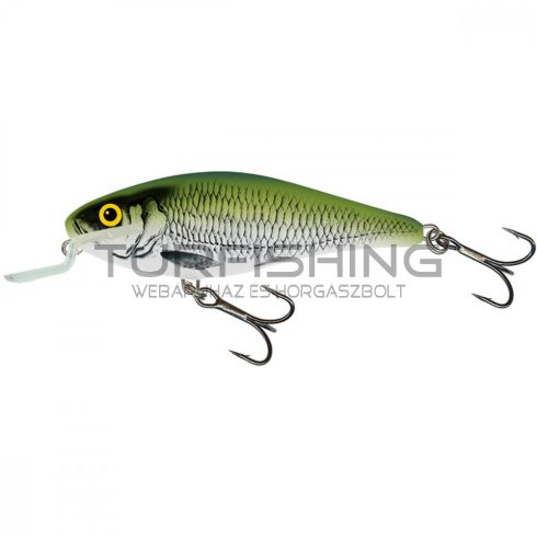 SALMO WOBBLER EXECUTOR IEX5SR OLB