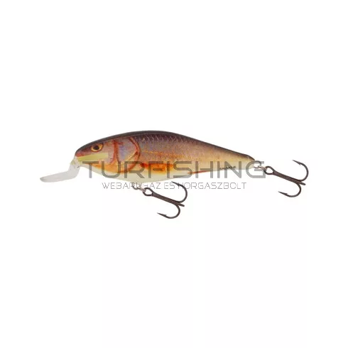 SALMO WOBBLER EXECUTOR IEX7SDR BBT