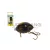 SALMO WOBBLER LIL BUG BG2F BLACK BUG