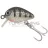 KAMASAKI WOBBLER BUG COL:1