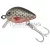KAMASAKI WOBBLER BUG COL:18