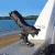 Railblaza StarPort HD Black