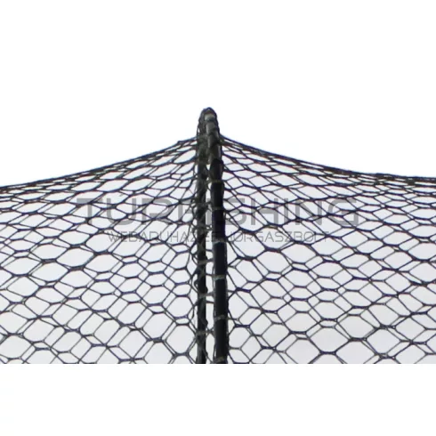 Karikás haltartó Delphin BASE 35/80cm