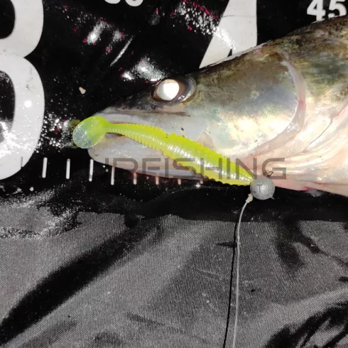 REIVA Zander Power Shad 12,5cm 3db/cs (Poppy Green)