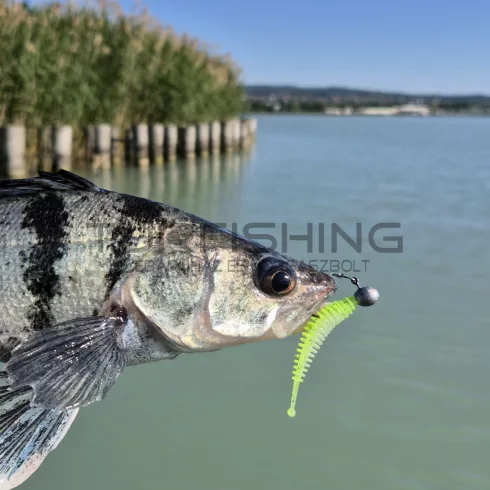 REIVA Tiny Worm 6cm 6db/cs (Blue Shiner)